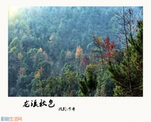 龙溪秋色