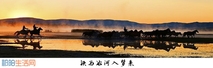 铁马冰河入梦来