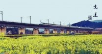 《竞速》