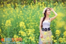 春花烂漫时 油菜花中的美女们