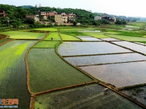 《田园风光》