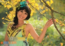 《情定桐子坳》