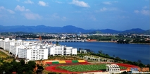 城市--乡村