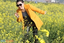 油菜花开