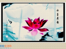 水墨荷韵