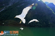 《来吧,朋友!》之一