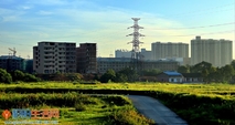 《早晨随拍》