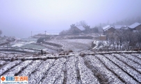 瑞雪兆丰年