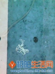 一条奇异的线虫