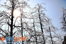 2013年的第一场雪